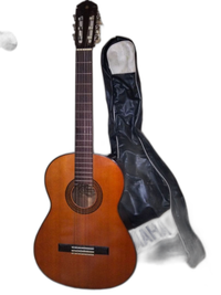 Yamaha Classical Guitar G-100D