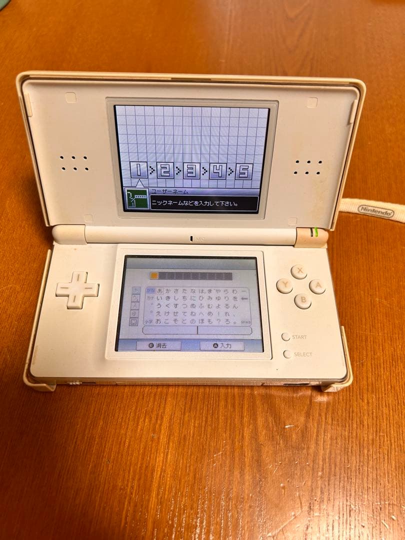 Nintendo Body (Ds Lite)