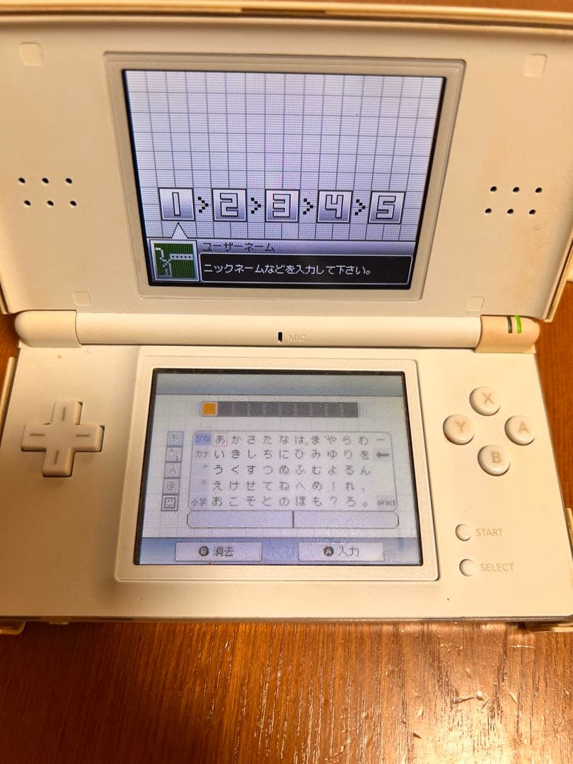 Nintendo Body (Ds Lite)