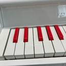 Korg Keyboards Digital Pianos Tinypiano
