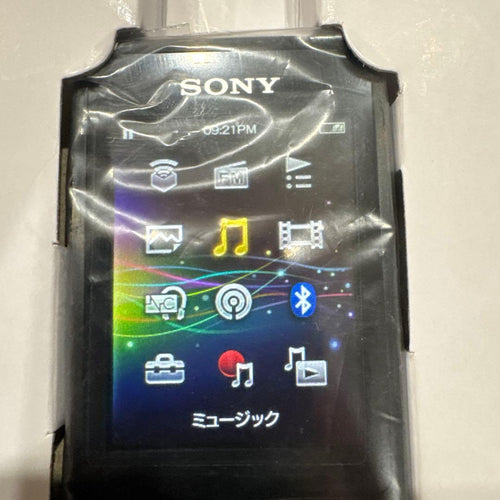 Sony Digital Audio Player Nw-S313K Black