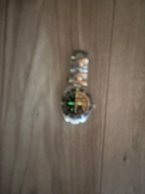 Omega Quartz Watches Seamaster Professional