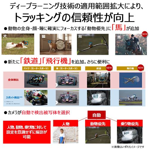 Canon Others Eos R6 Mark Ii Rf24-105 Is Stm