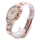 Rolex Others 116505