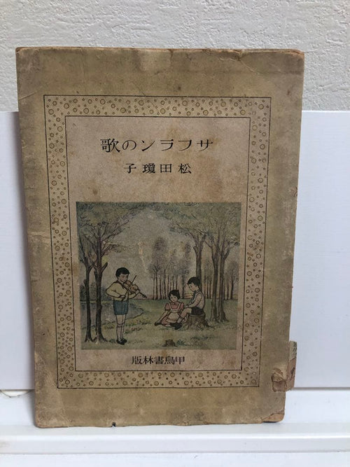 Literature Novel 17