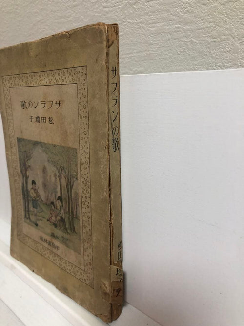 Literature Novel 17