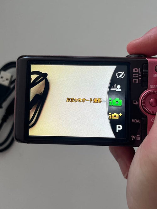 Sony Compact Digital Cameras Cyber-Shot Dsc-Wx100