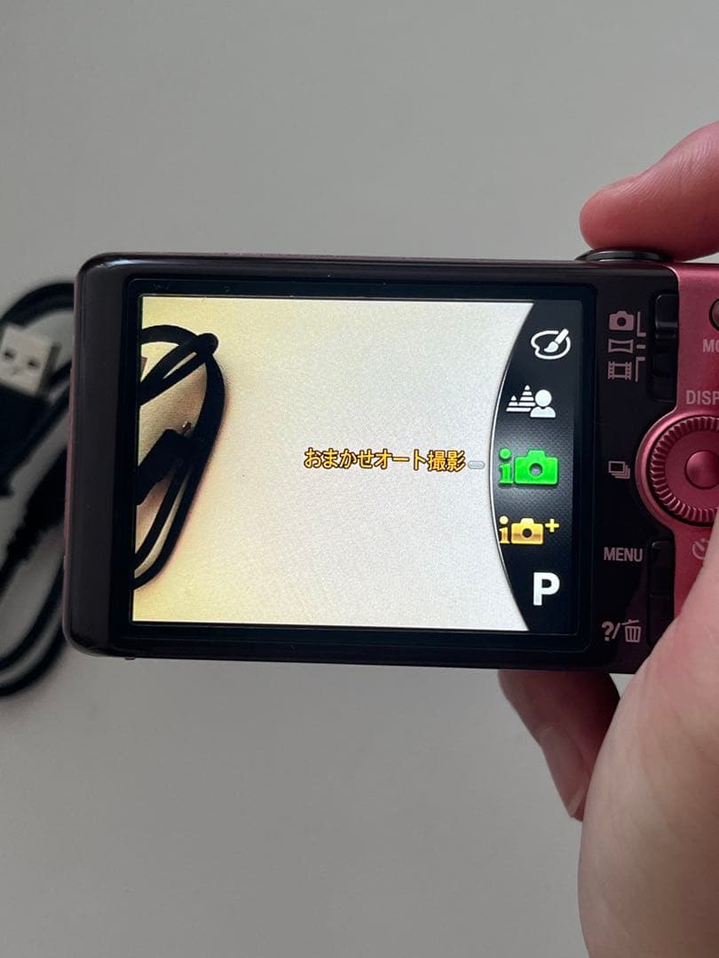 Sony Compact Digital Cameras Cyber-Shot Dsc-Wx100