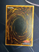 Yu -Gi -Oh! Ocg Duel Monsters Ln-53