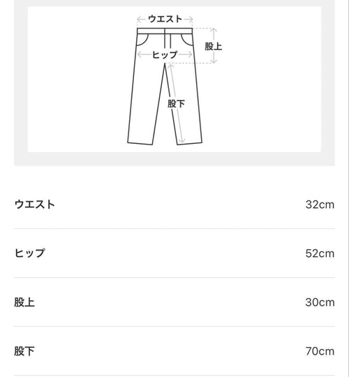Issey Miyake Casual Pants