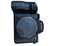 Sony Mirrorless Interchangeable Lips 7R3