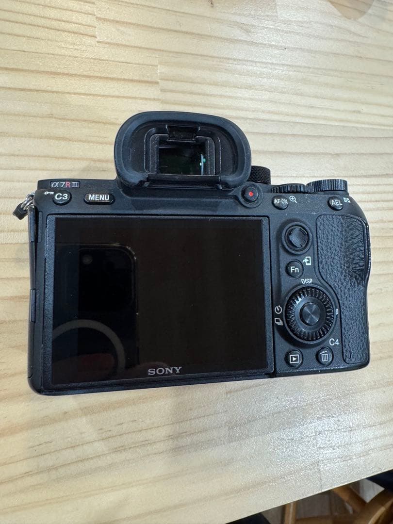 Sony Mirrorless Interchangeable Lips 7R3