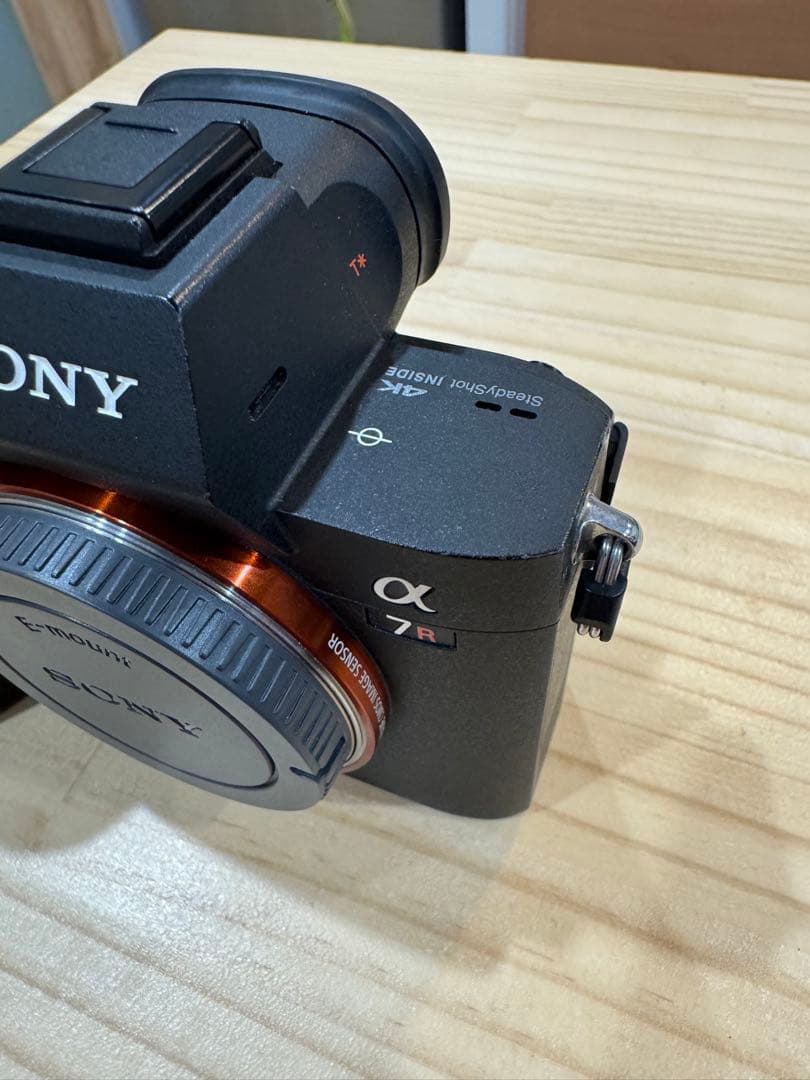 Sony Mirrorless Interchangeable Lips 7R3