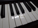 Yamaha Keyboard Electronic Piano Cp300 2009