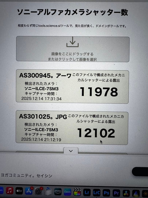 Sony Mirrorless Interchangeable Lips 7S Iii