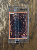 Yu-Gi-Oh! Ocg Duel Monsters (Japanese)