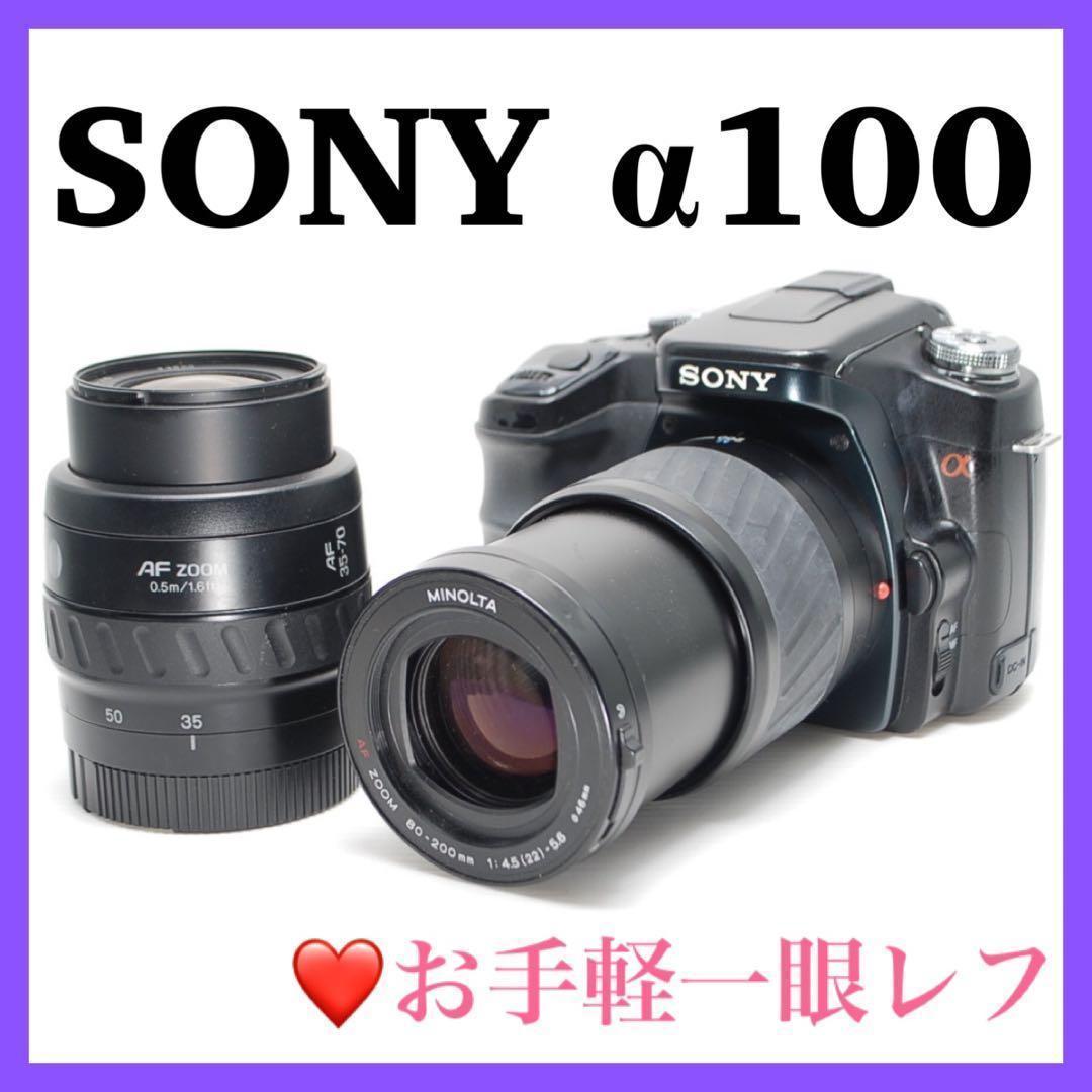 Sony Digital Slr 100