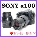 Sony Digital Slr 100