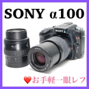 Sony Digital Slr 100