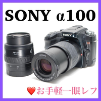 Sony Digital Slr 100
