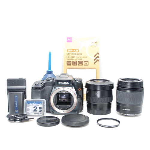 Sony Digital Slr 100