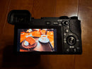 Sony Mirrorless Interchangeable Lens Cameras 6500 Sigma F1.4