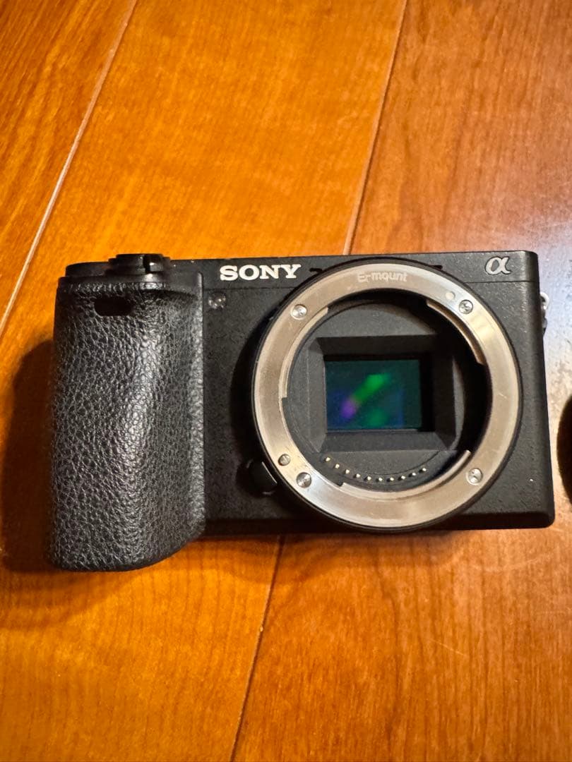 Sony Mirrorless Interchangeable Lens Cameras 6500 Sigma F1.4