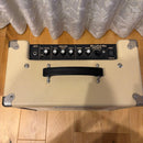 Roland Guitar Amplifiers Blues Cube Hot