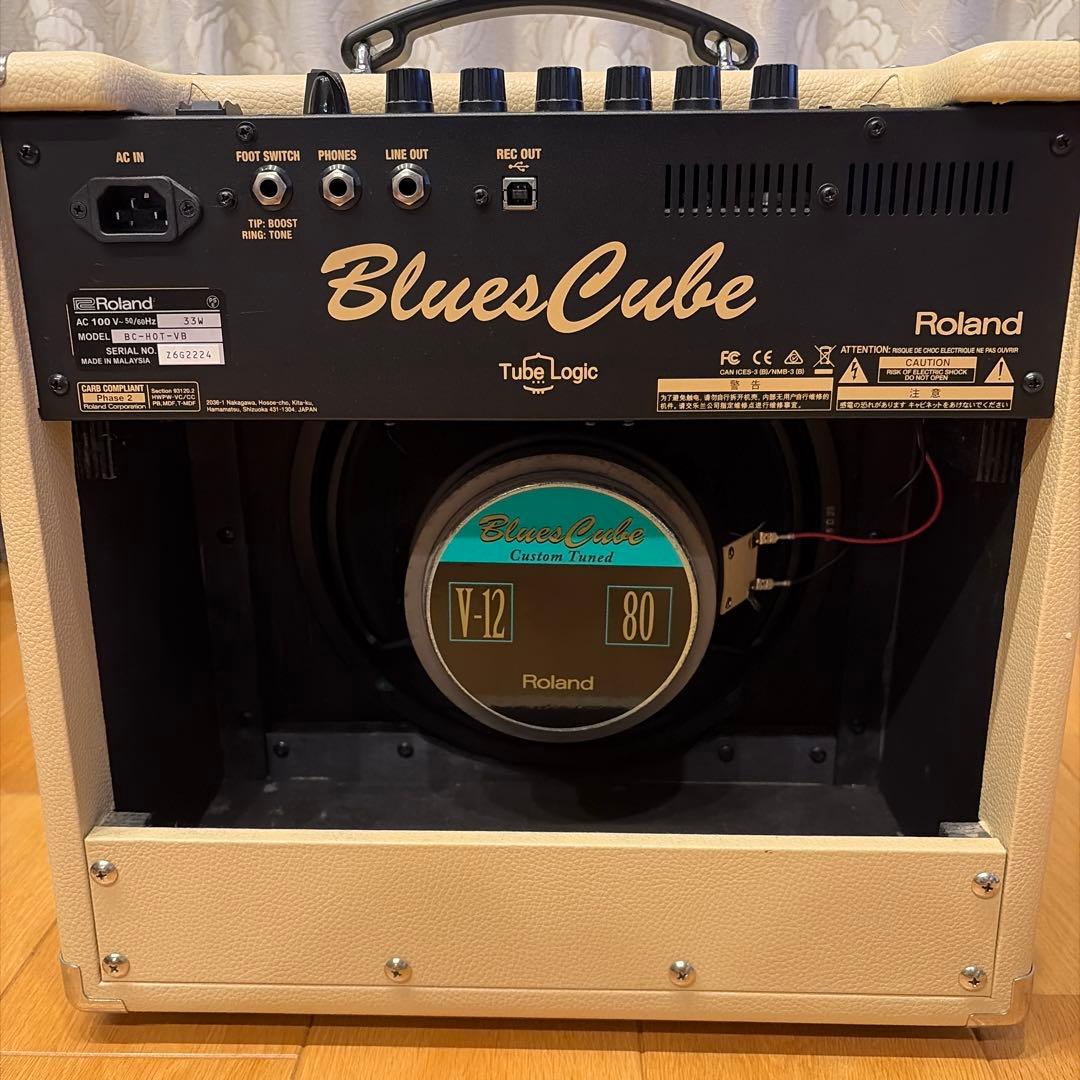 Roland Guitar Amplifiers Blues Cube Hot