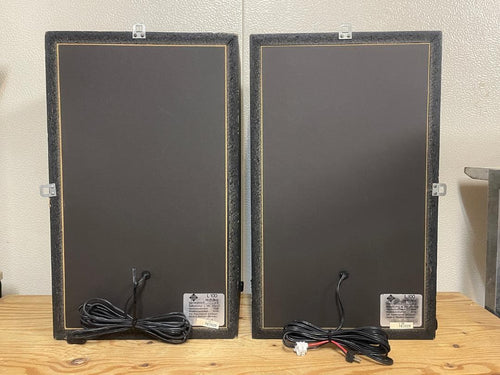 Speaker Telefunken L100 1980