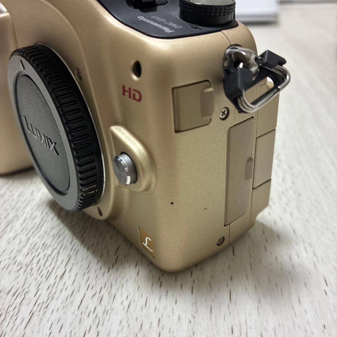 Panasonic Mirrorless Interchangeable Lips Lumix Dmc-Gh1