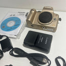 Panasonic Mirrorless Interchangeable Lips Lumix Dmc-Gh1