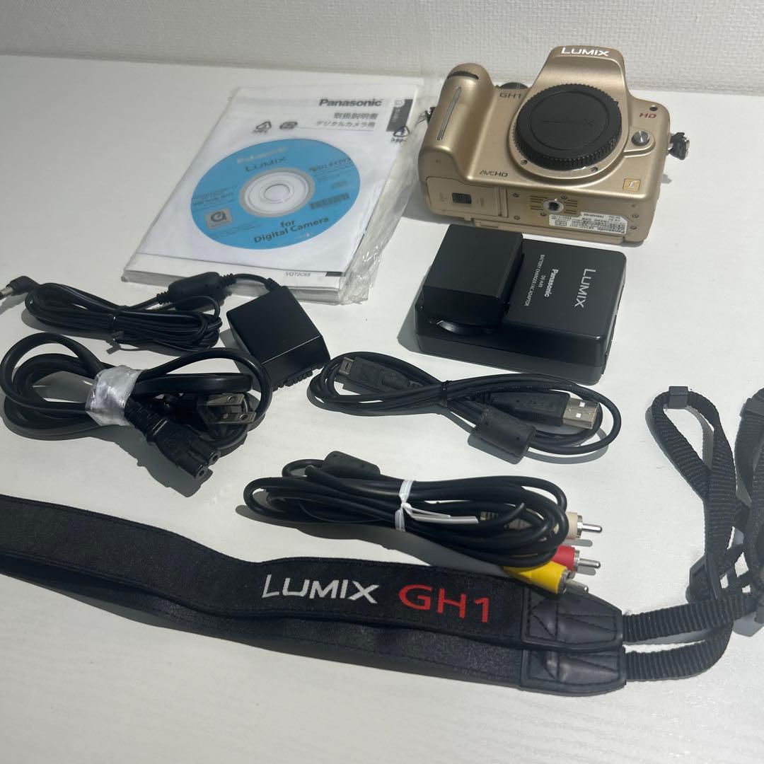 Panasonic Mirrorless Interchangeable Lips Lumix Dmc-Gh1