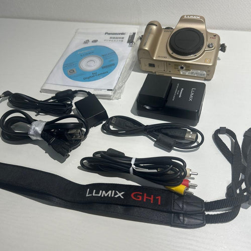 Panasonic Mirrorless Interchangeable Lips Lumix Dmc-Gh1