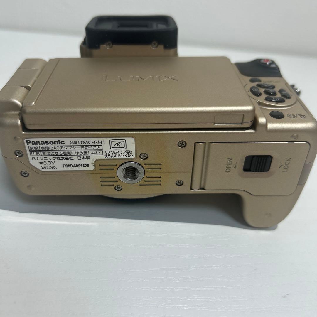 Panasonic Mirrorless Interchangeable Lips Lumix Dmc-Gh1