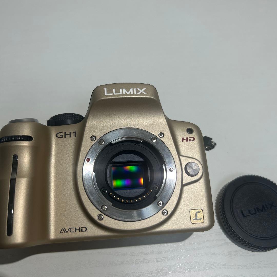 Panasonic Mirrorless Interchangeable Lips Lumix Dmc-Gh1