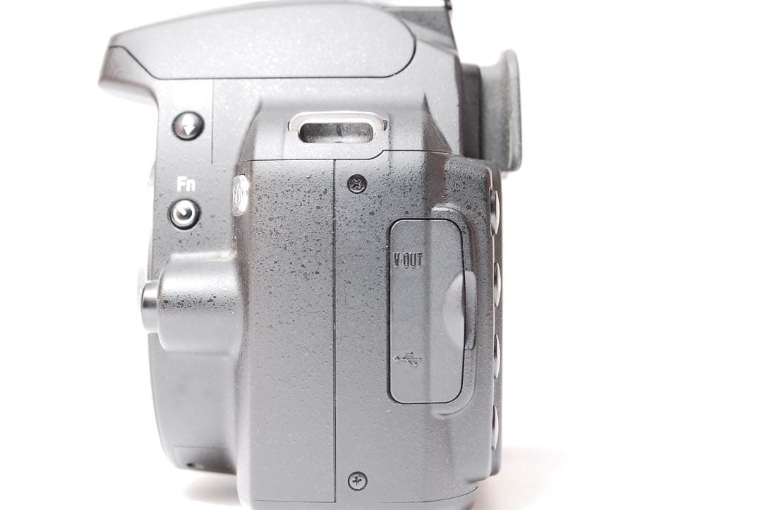 Digital Slr 2959 Nikon D60