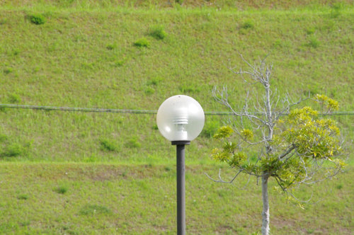 Pentax Lens (Zoom) 55-300Mm