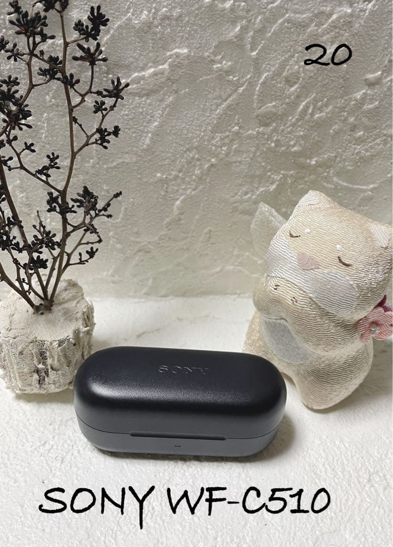 Sony Wireless Earphones Wf-C510