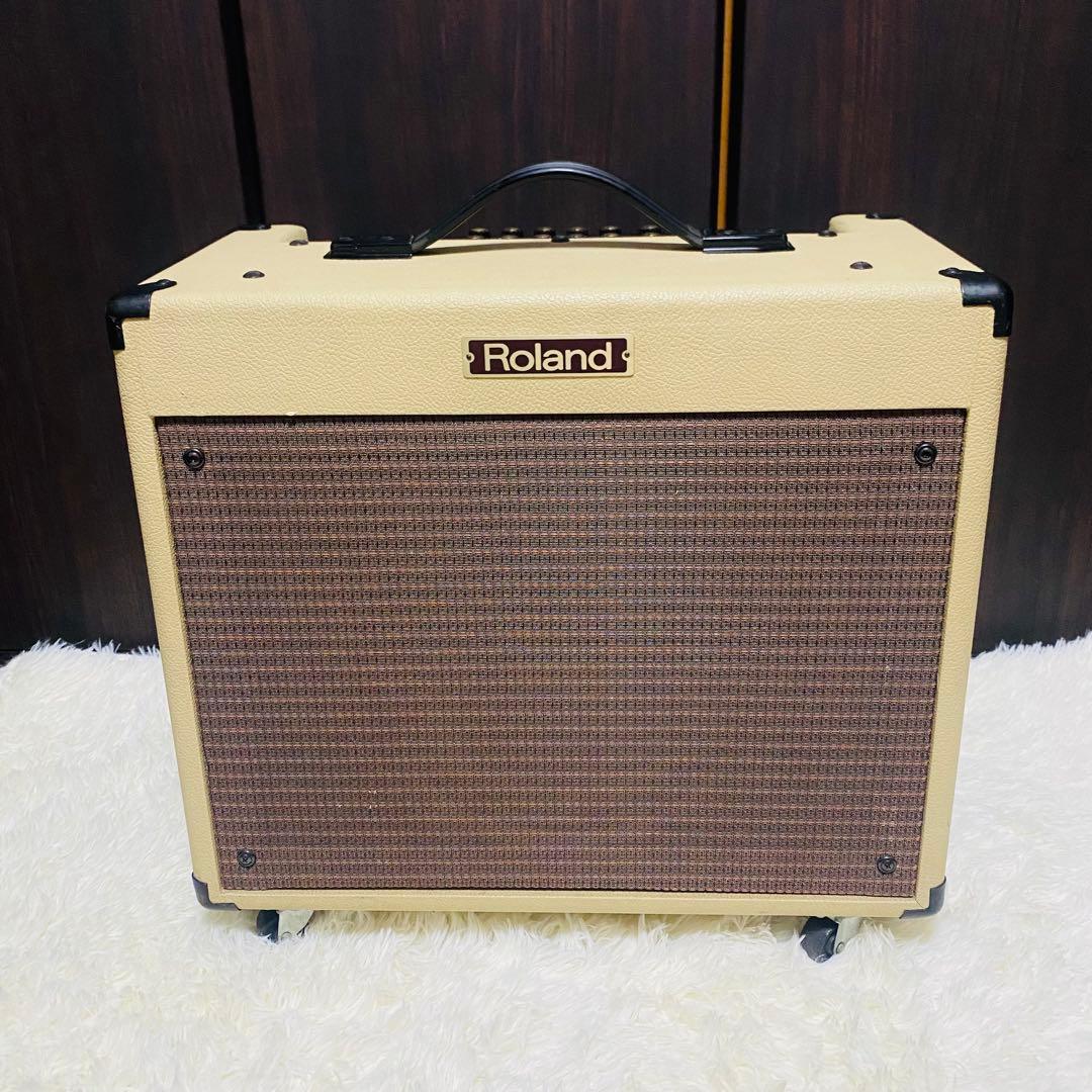 Roland Guitar Amplifier Bc-60 Bluescube