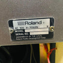 Roland Guitar Amplifier Bc-60 Bluescube