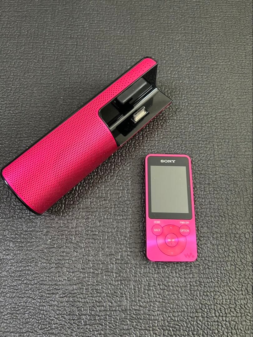 Sony Digital Audio Player Nw-S13
