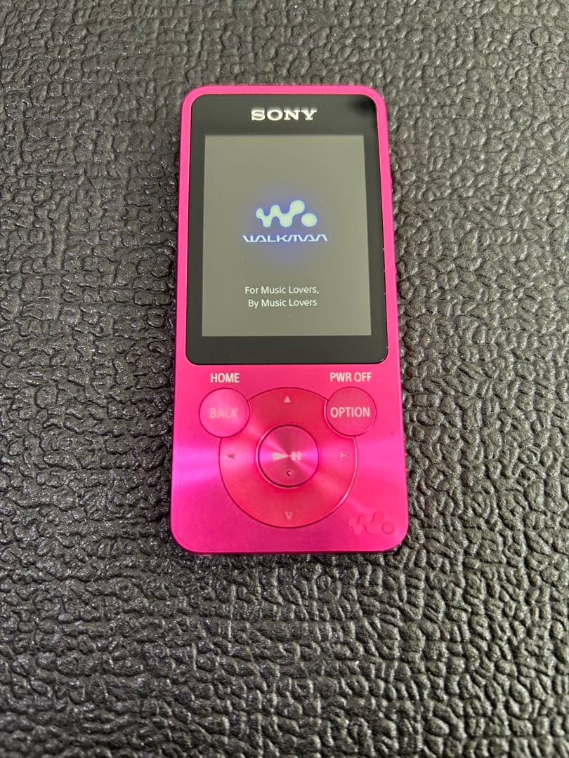Sony Digital Audio Player Nw-S13