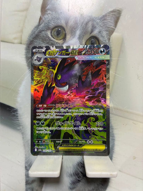 Pokemon Card Game Ex