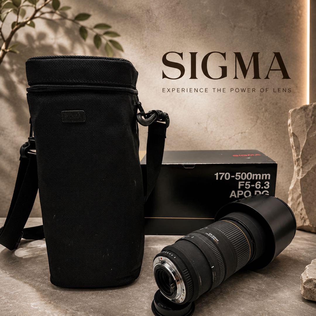 Sigma Zoom Lenses 170-500Mm F5-6.3 Apo Dg