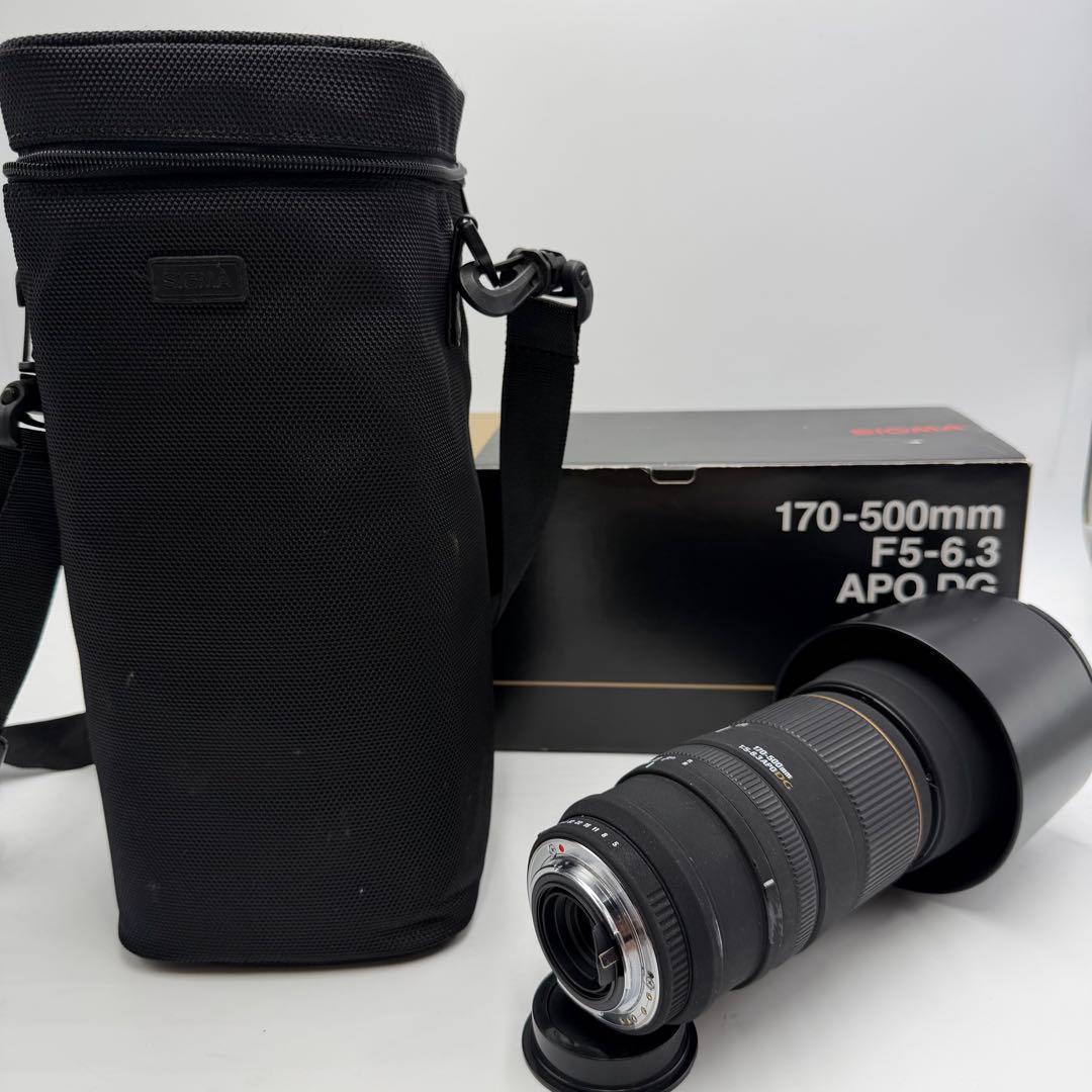 Sigma Zoom Lenses 170-500Mm F5-6.3 Apo Dg