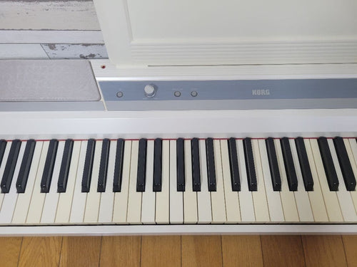 Korg Keyboards Digital Pianos Sp-170S 88