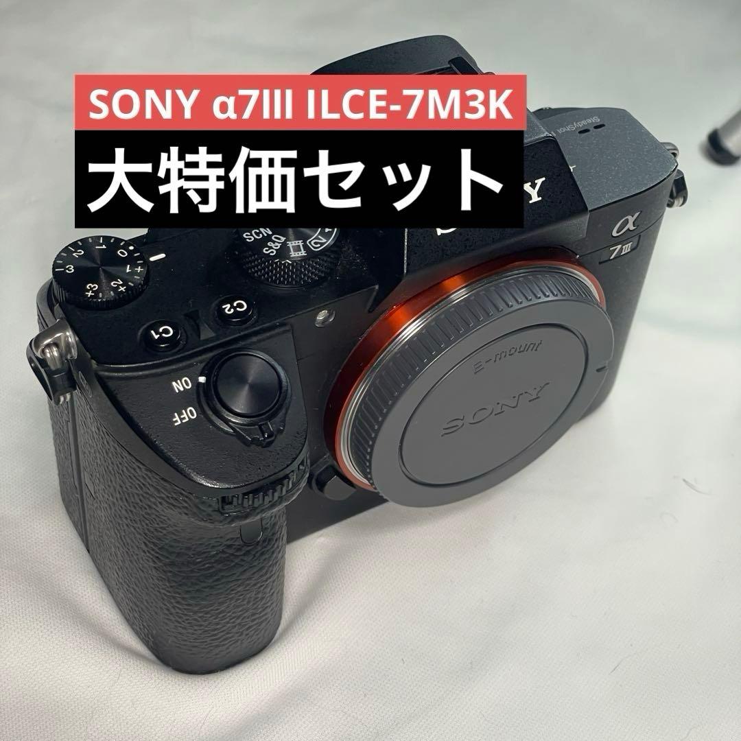 Sony Mirrorless Interchangeable Lens Cameras 7