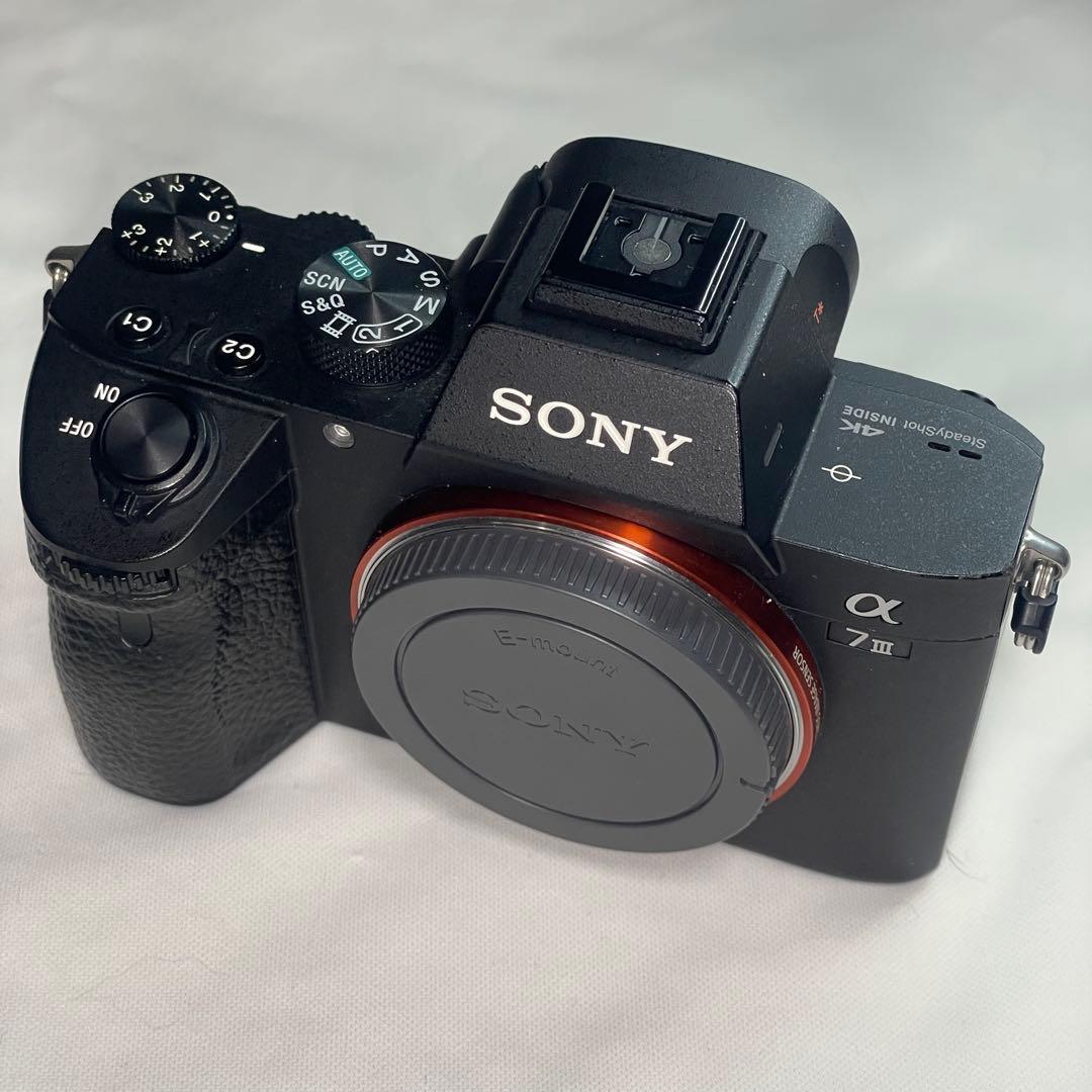Sony Mirrorless Interchangeable Lens Cameras 7
