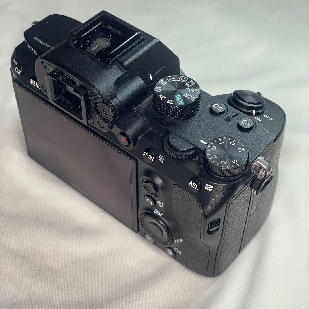 Sony Mirrorless Interchangeable Lens Cameras 7